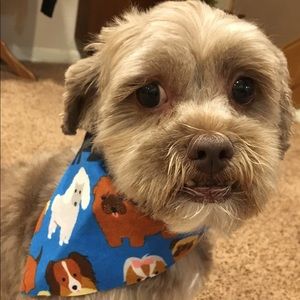 Meet your Posher, Rhonda